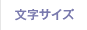 文字サイズ